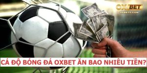 Cá độ bóng đá OXBET ăn tiền có bị bắt không?