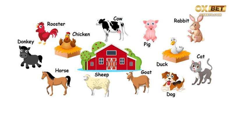 Định nghĩa về số đề con vật