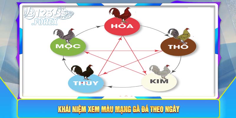 Khái niệm xem màu mạng gà đá theo ngày