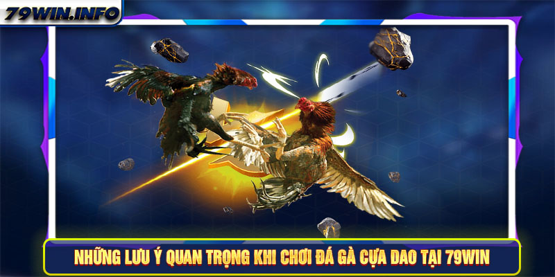 Những lưu ý quan trọng cần nhớ khi tham gia đá gà cựa dao tại 79Win