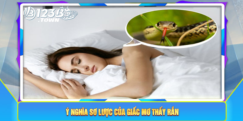 Ý nghĩa sơ lược của giấc mơ thấy rắn